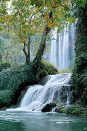 Poster - Wasserfall