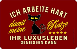 Poster - Luxusleben Katze