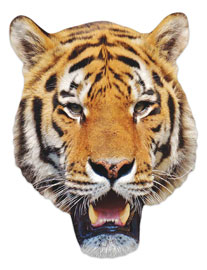 Poster - Tier Maske