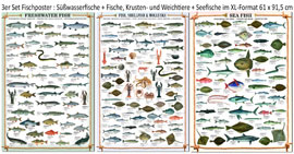 Poster - Fischposter Set